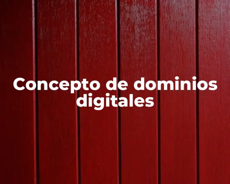 Concepto de dominios digitales