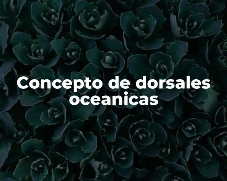 Concepto de dorsales oceanicas
