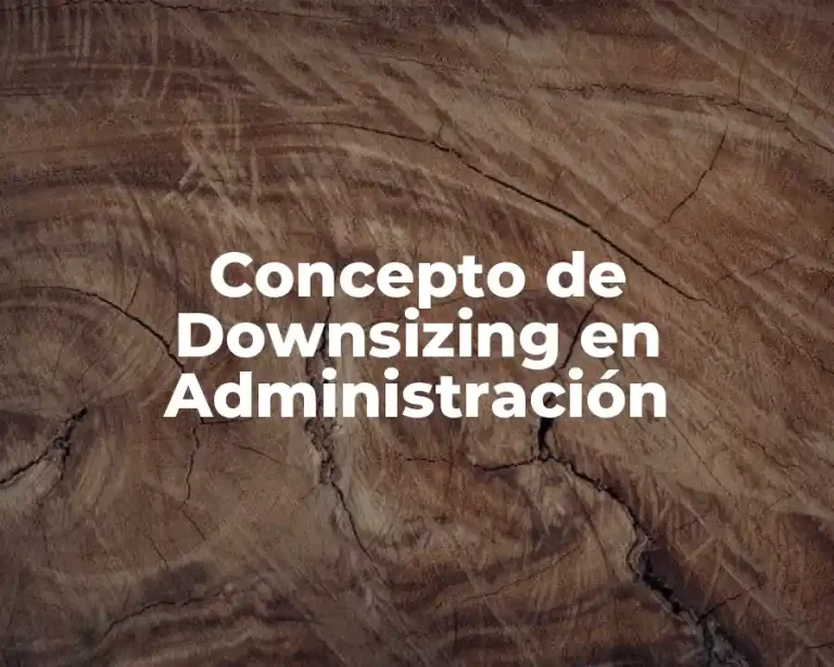 Concepto de Downsizing en Administración