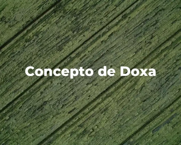 Concepto de Doxa