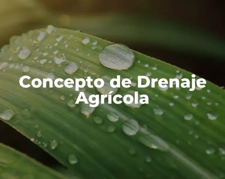 Concepto de Drenaje Agrícola