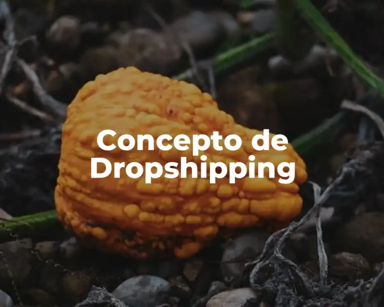 Concepto de Dropshipping