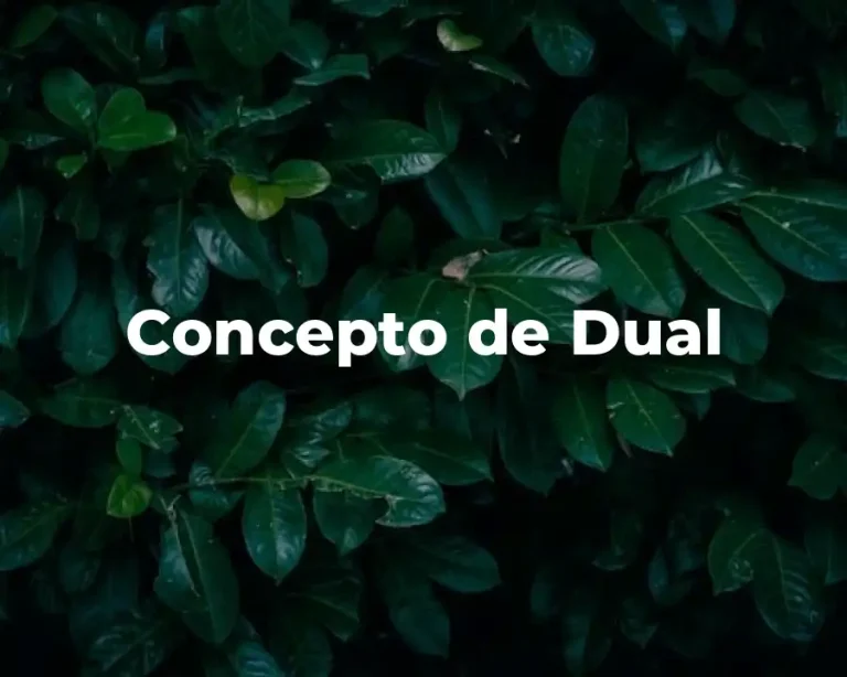 Concepto de Dual