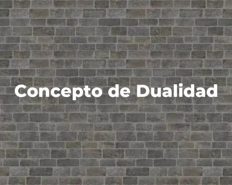 Concepto de Dualidad