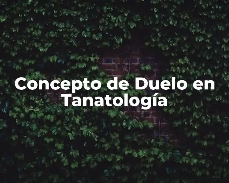 Concepto de Duelo en Tanatología
