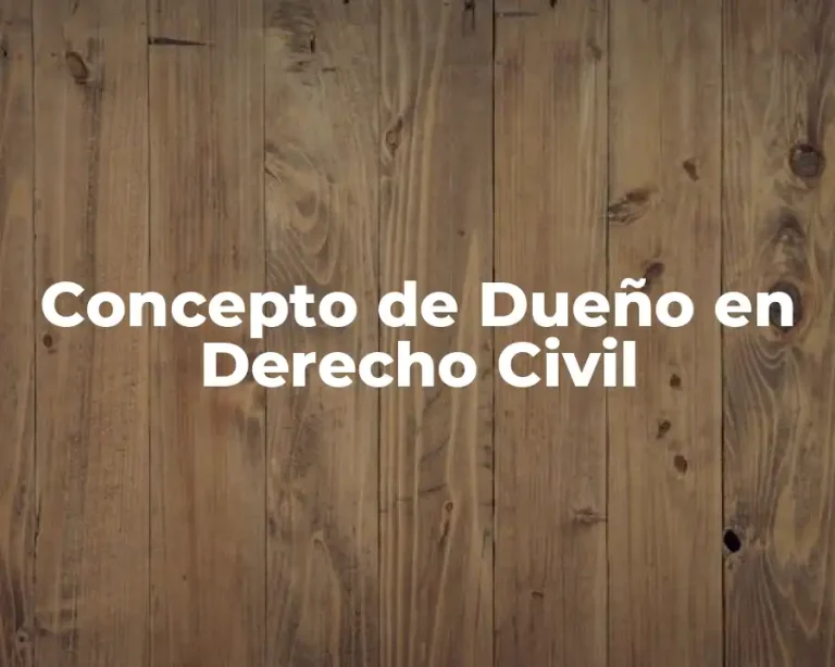 Concepto de Dueño en Derecho Civil