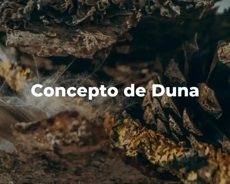 Concepto de Duna