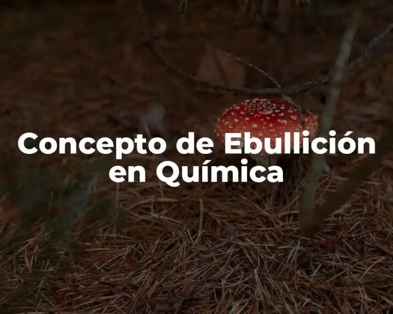 Concepto de Ebullición en Química