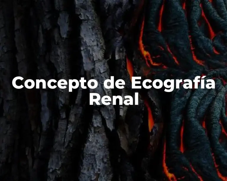 Concepto de Ecografía Renal