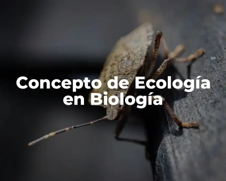 Concepto de Ecología en Biología