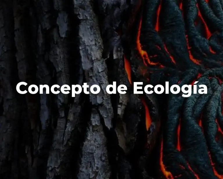 Concepto de Ecología