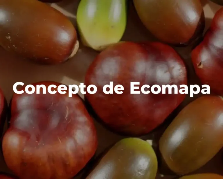 Concepto de Ecomapa