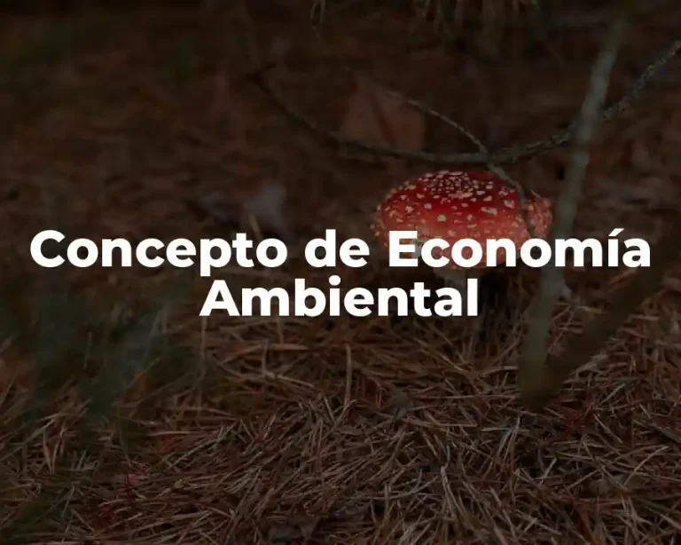 Concepto de Economía Ambiental