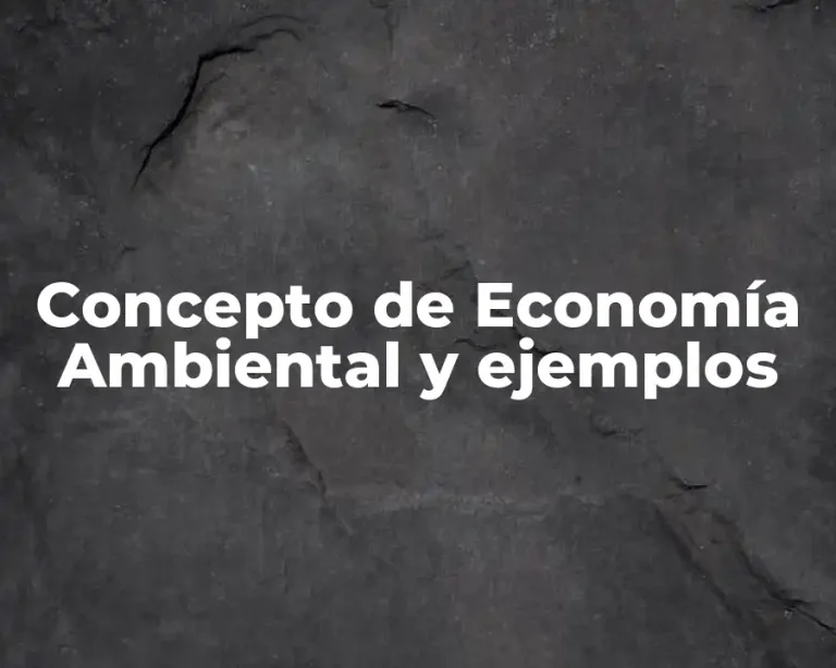Concepto de Economía Ambiental y ejemplos