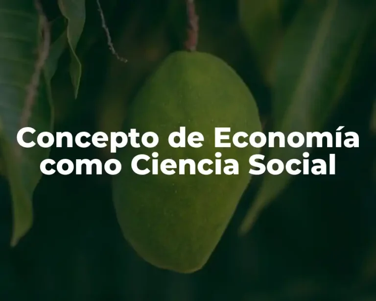 Concepto de Economía como Ciencia Social