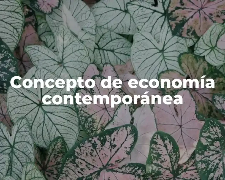 Concepto de economía contemporánea
