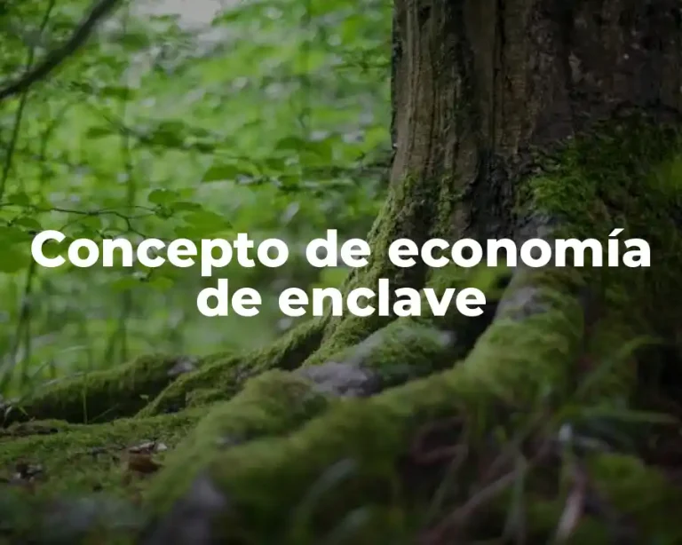 Concepto de economía de enclave