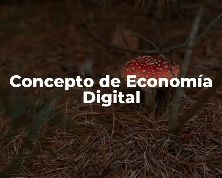 Concepto de Economía Digital