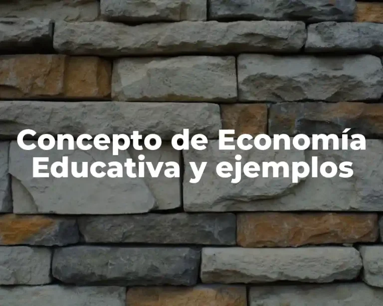 Concepto de Economía Educativa y ejemplos