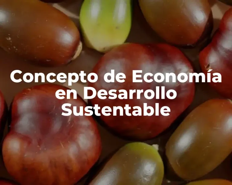 Concepto de Economía en Desarrollo Sustentable