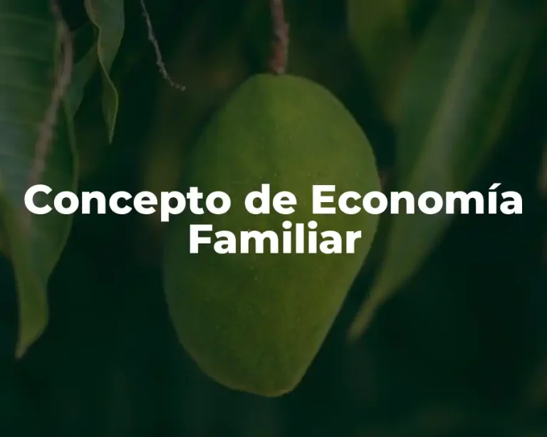 Concepto de Economía Familiar