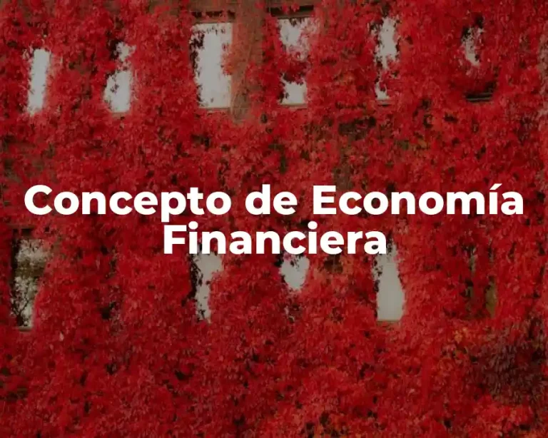 Concepto de Economía Financiera