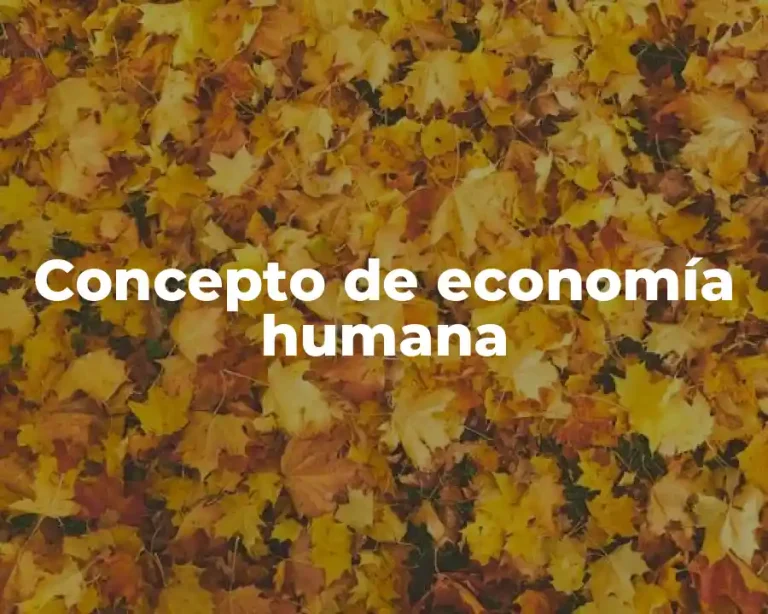 Concepto de economía humana