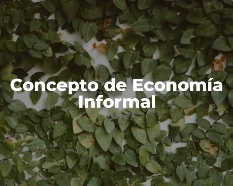 Concepto de Economía Informal