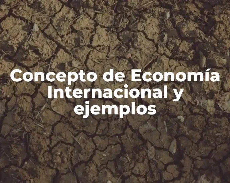 Concepto de Economía Internacional y ejemplos