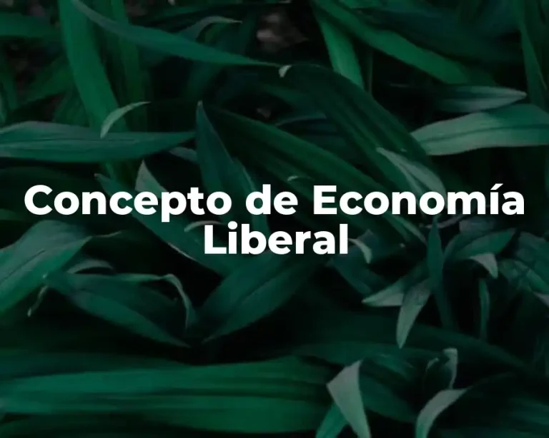 Concepto de Economía Liberal