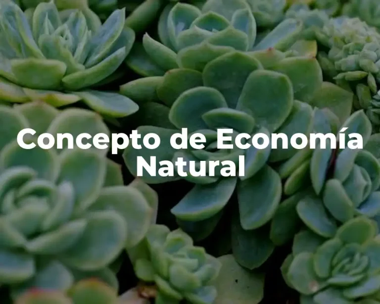 Concepto de Economía Natural