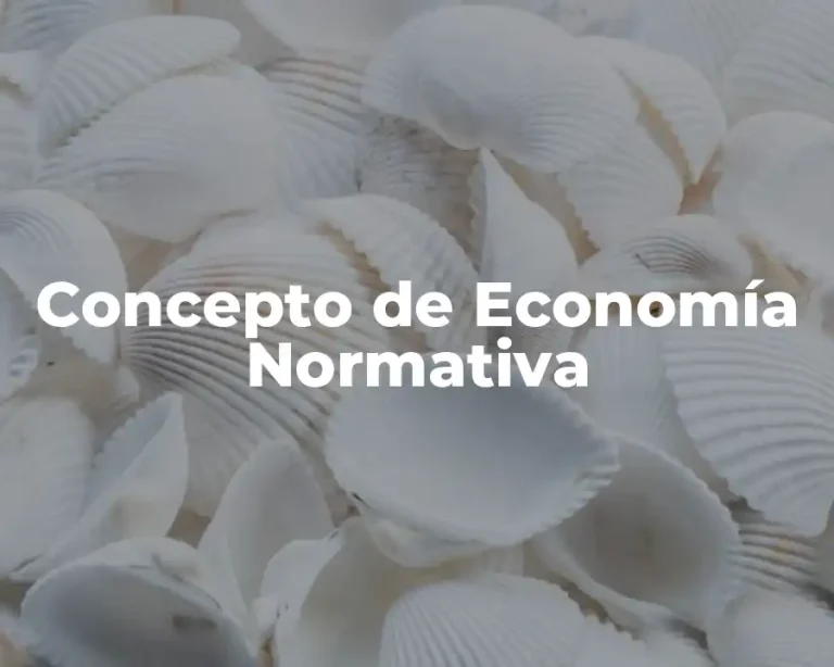 Concepto de Economía Normativa