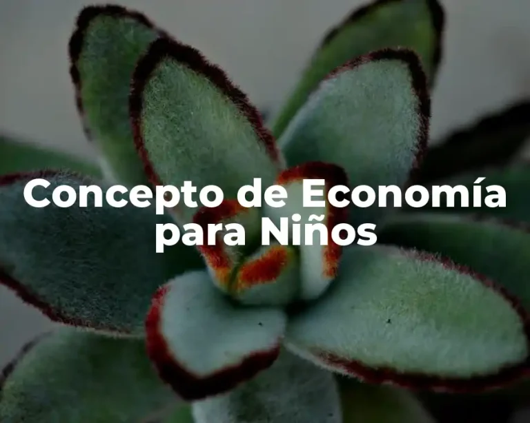 Concepto de Economía para Niños