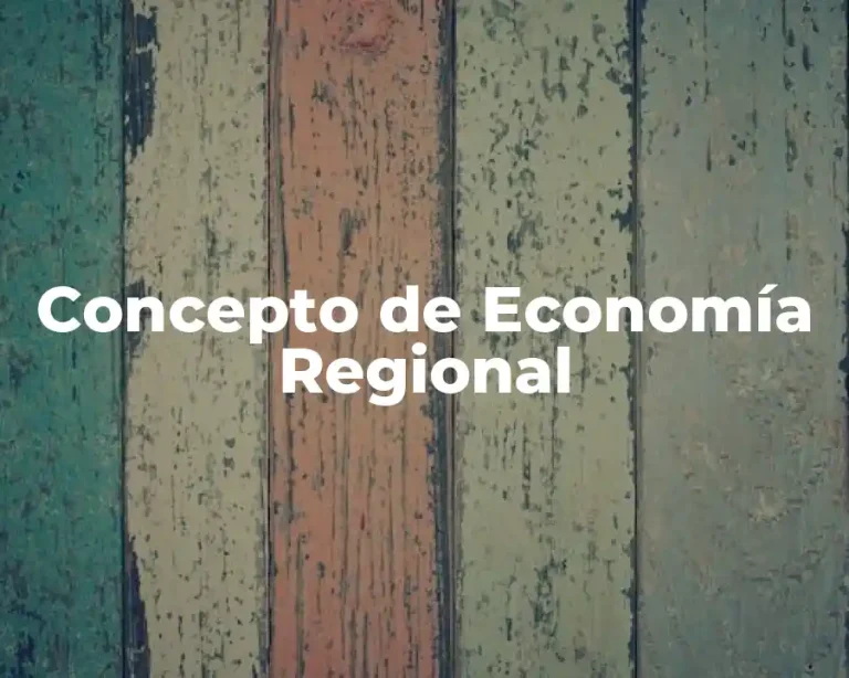 Concepto de Economía Regional