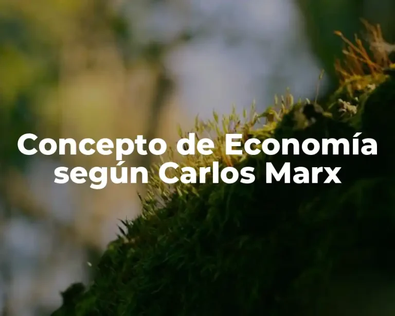 Concepto de Economía según Carlos Marx