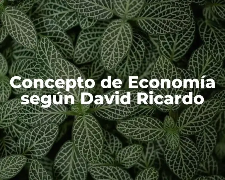 Concepto de Economía según David Ricardo