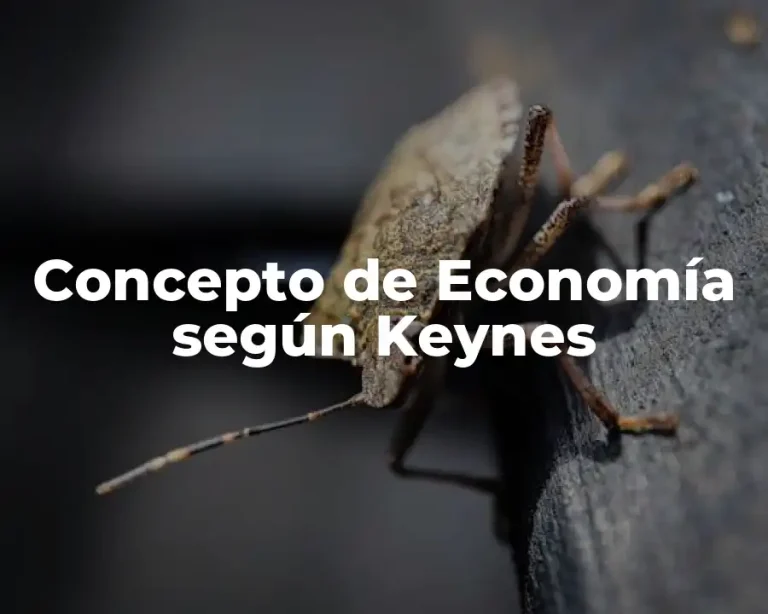 Concepto de Economía según Keynes