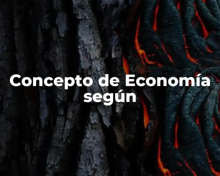 Concepto de Economía según