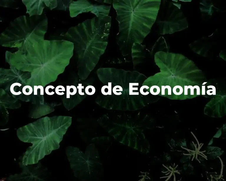Concepto de Economía