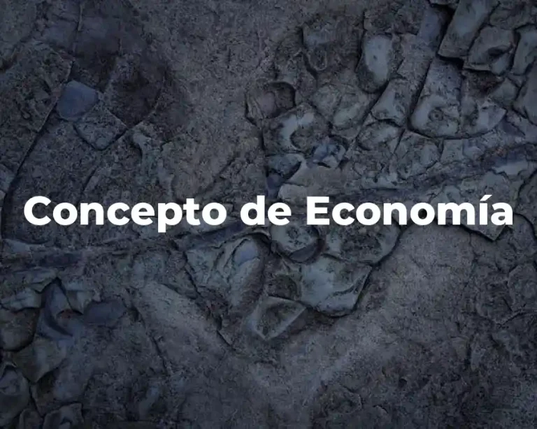 Concepto de Economía