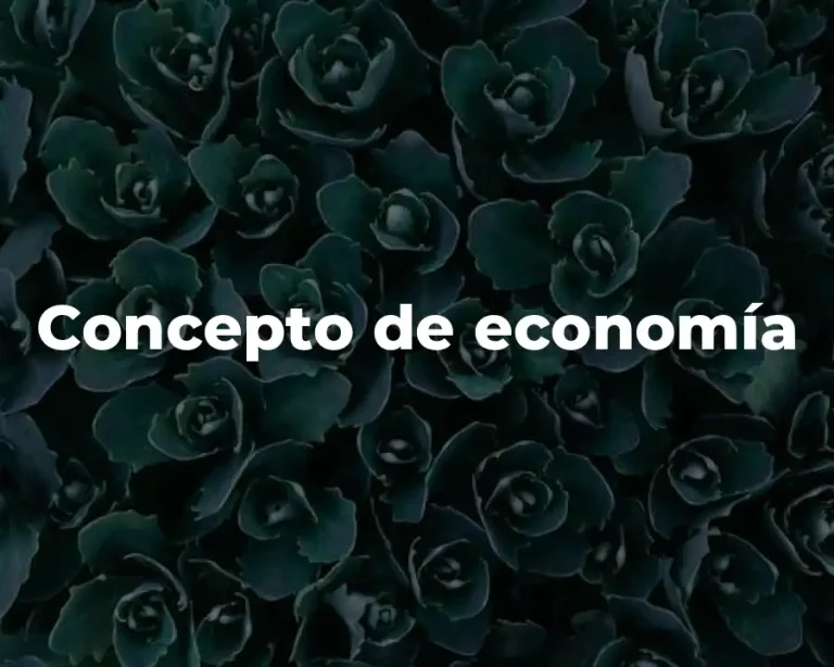 Concepto de economía