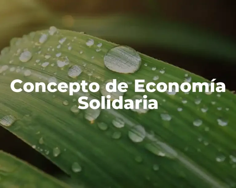 Concepto de Economía Solidaria
