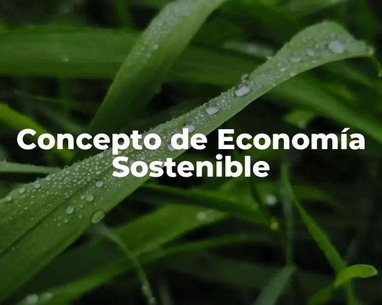 Concepto de Economía Sostenible