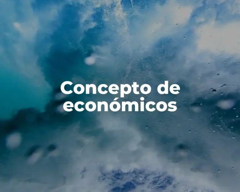 Concepto de económicos
