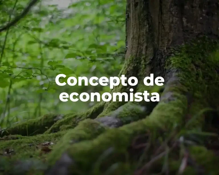 Concepto de economista