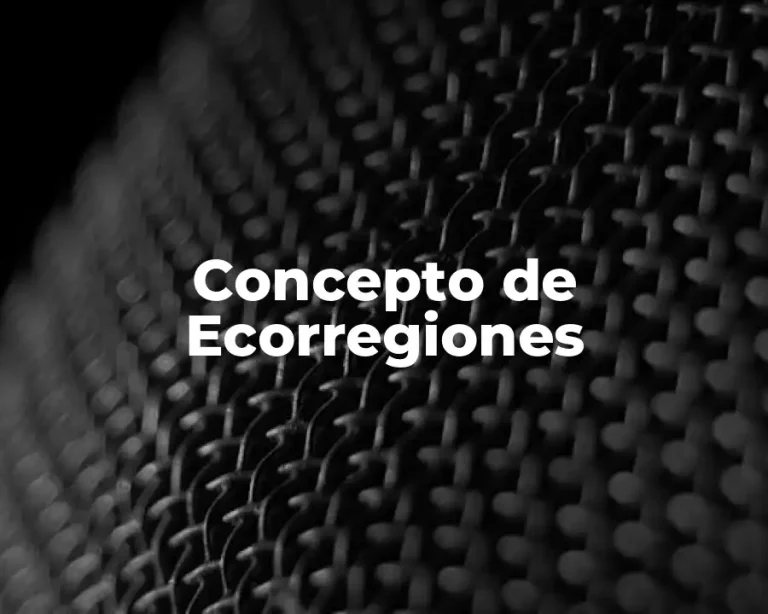 Concepto de Ecorregiones
