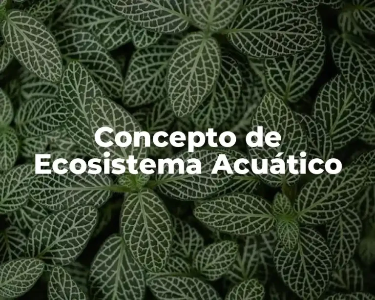 Concepto de Ecosistema Acuático