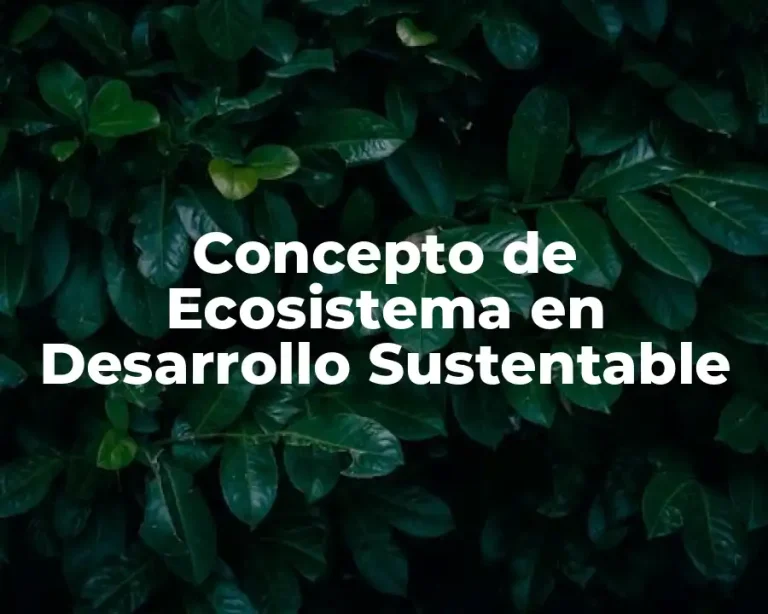Concepto de Ecosistema en Desarrollo Sustentable