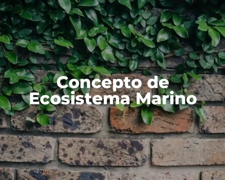 Concepto de Ecosistema Marino
