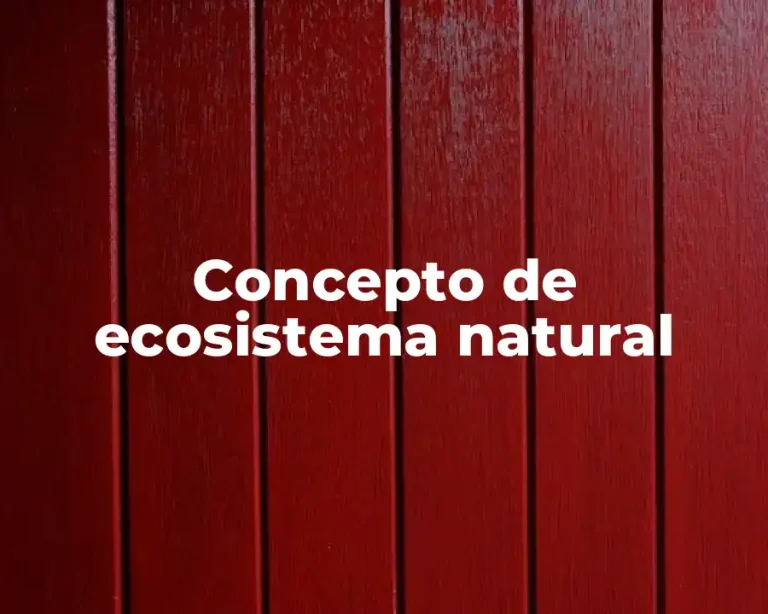 Concepto de ecosistema natural